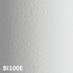 BI100E