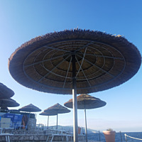 Suncobrani Canna Africana – obala – 31