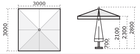 C3030 RIS