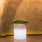 DELPHINUS SVJETLEĆA VAZA 50 h