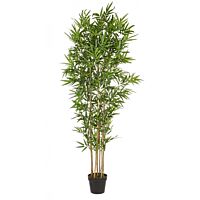 BIZZOTTO RASTLINA BAMBUS C-VAZA V185CM