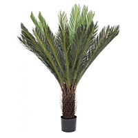 BIZZOTTO RASTLINA CYCAS PALMA Z LONCEM 28 LISTOV H120