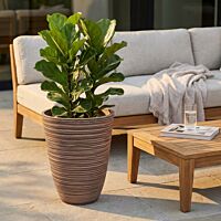 VELIKA VAZA ANEMONE VA-801022-TAUP