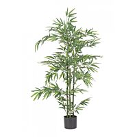 BIZZOTTO RASTLINA BAMBUS Z LONCEM H130