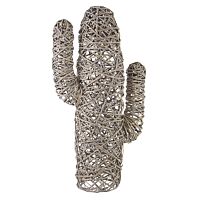 BIZZOTTO CACTUS MEXICO STARINSKO SIV H88