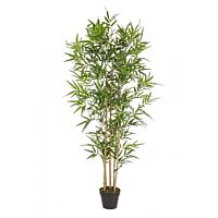 BIZZOTTO RASTLINA BAMBUS Z VAZO V155CM
