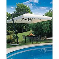 Sencnik-Leonardo-Braccio-nb