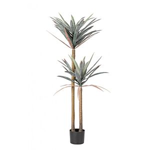 BIZZOTTO RASTLINA YUCCA C-LONEC 68LISTOV H128