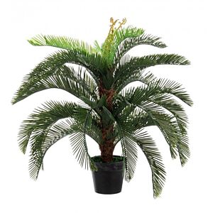 BIZZOTTO RASTLINA PALMA CYCAS Z VAZO 30 LISTOV H100