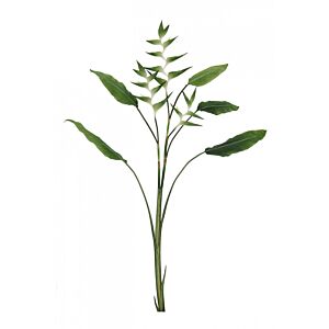 BIZZOTTO RASTLINA ELICONIA JESSYE X3F+5ZELENI LISTI H172