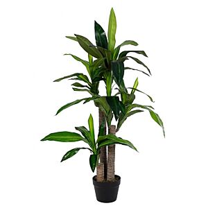 BIZZOTTO OKRASNA RASTLINA DRACAENA Z VAZO 65 LISTOV H110