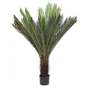 BIZZOTTO RASTLINA CYCAS PALMA Z LONCEM 28 LISTOV H120