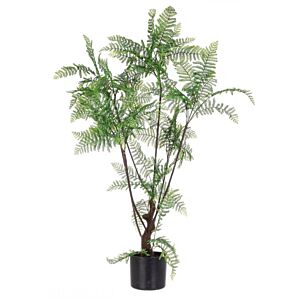 BIZZOTTO PRAPROTI RASTLINA C-VAZA 75 LISTOV H108