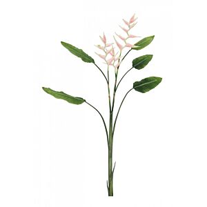 BIZZOTTO RASTLINA ELICONIA JESSYE X3F+5ROZA LISTI H172