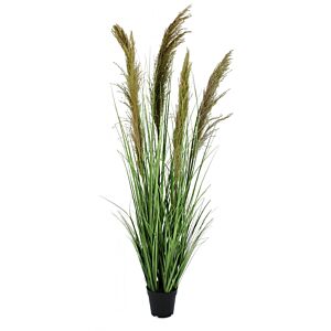 BIZZOTTO RASTLINA CARINE PAMPAS VERD MARR C-VA H145