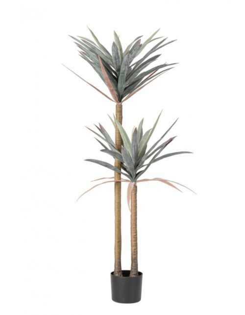 BIZZOTTO RASTLINA YUCCA C-LONEC 68LISTOV H128