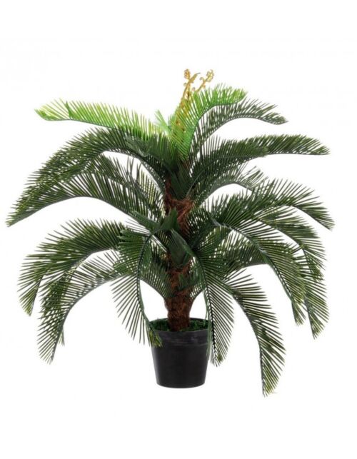 BIZZOTTO RASTLINA PALMA CYCAS Z VAZO 30 LISTOV H100