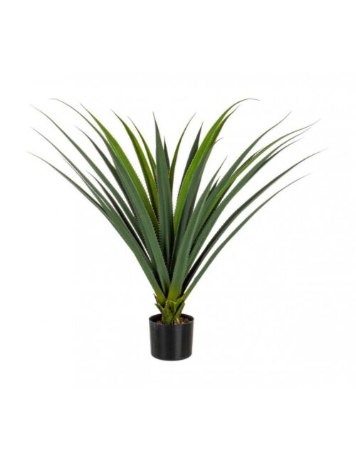 BIZZOTTO RUSCACEAE RASTLINA C-VAZA 28 LISTOV V90CM