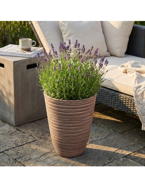 SREDNJA VAZA ANEMONE  VA-801021-TAUP