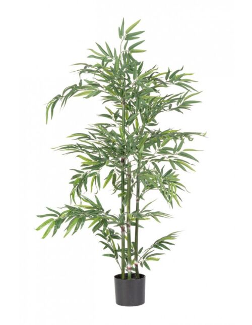 BIZZOTTO RASTLINA BAMBUS Z LONCEM H130