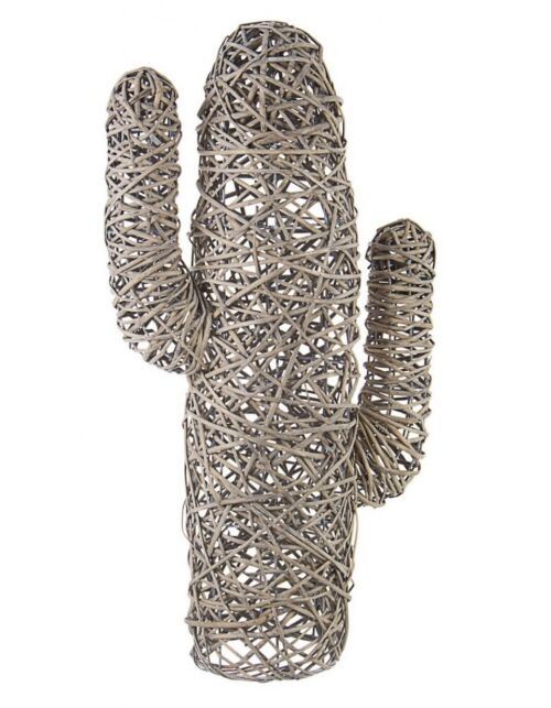 BIZZOTTO CACTUS MEXICO STARINSKO SIV H88