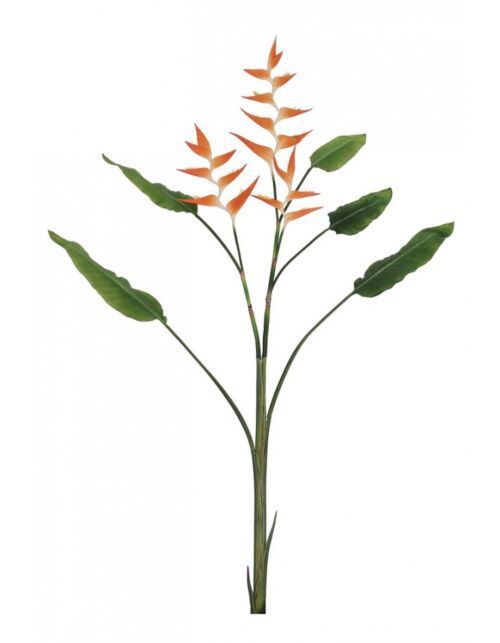 BIZZOTTO RASTLINA ELICONIA JESSYE X3F+5ORANŽNI LISTI H172
