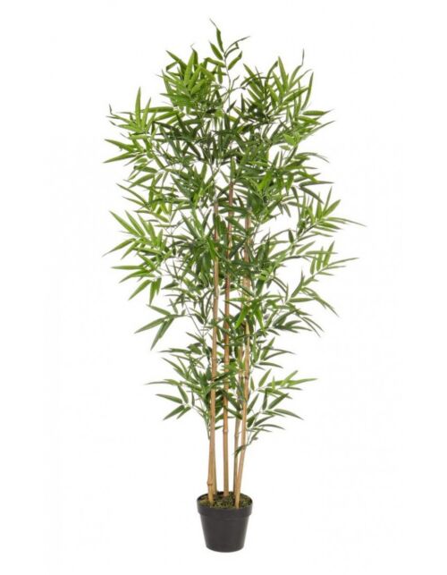 BIZZOTTO RASTLINA BAMBUS Z VAZO V155CM
