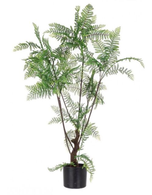 BIZZOTTO PRAPROTI RASTLINA C-VAZA 75 LISTOV H108