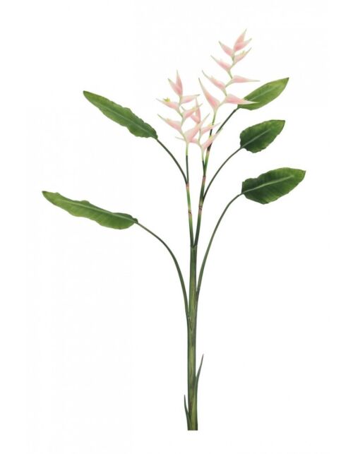 BIZZOTTO RASTLINA ELICONIA JESSYE X3F+5ROZA LISTI H172