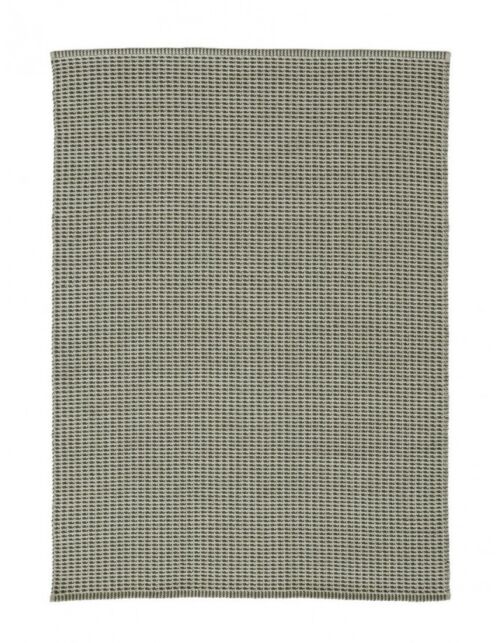 BIZZOTTO PREPROGA SURAT ALOE 200X300