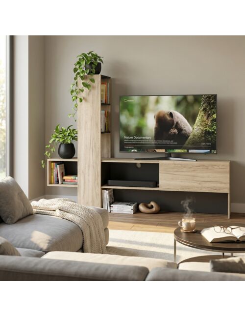 11008244 ORENSE TV STOJALO SIV IN ČRN HRAST