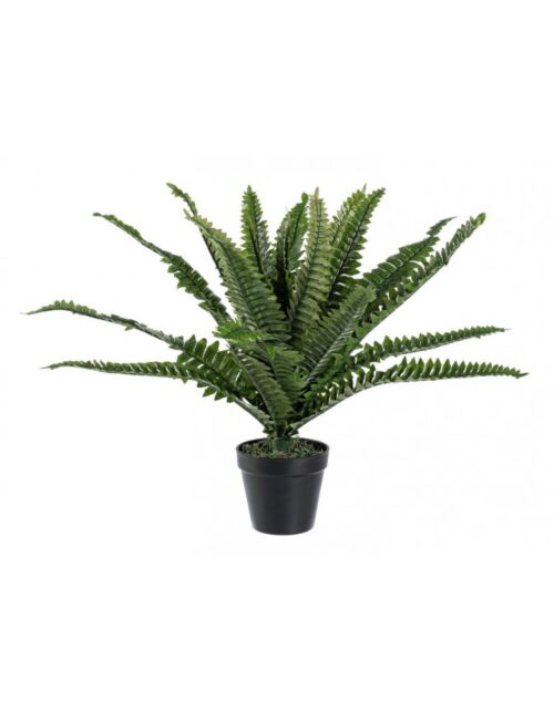 BIZZOTTO RASTLINA PRAPROTI C-VAZA 24 LISTOV V45 CM