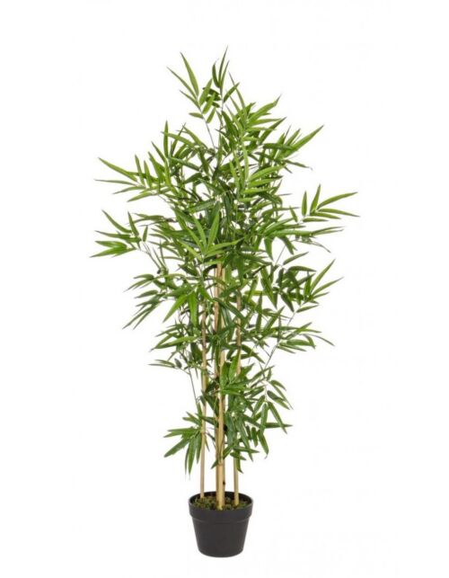 BIZZOTTO RASTLINA BAMBUS C-VAZA V130CM